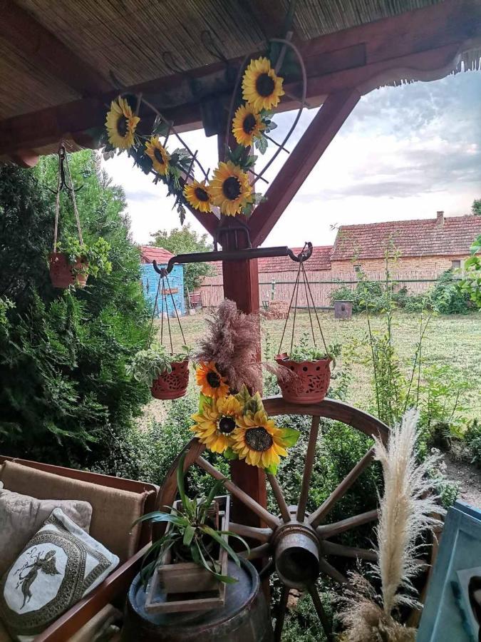 Bed and Breakfast Etno Kuca Teodora Stajicevo Exterior foto